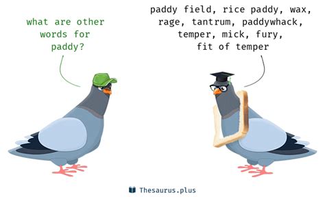 paddy synonym|another word for pat.